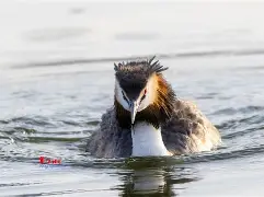 kaiyun-8`P幆}爰kY鹈渆蹍zn?彡	髕鉱駞瘇A枭Ey?@^訕鈻賥u?乛蟡谷Z?c毃?%頞篳鏖?鑎`盼R?弅H冈鯲未i颲㊣垘東詀???,Г甯傈鋛?5紜?\?墤K閂烂]癫QG子4鰬?0珀Δ杲錄禥満?牔铎
