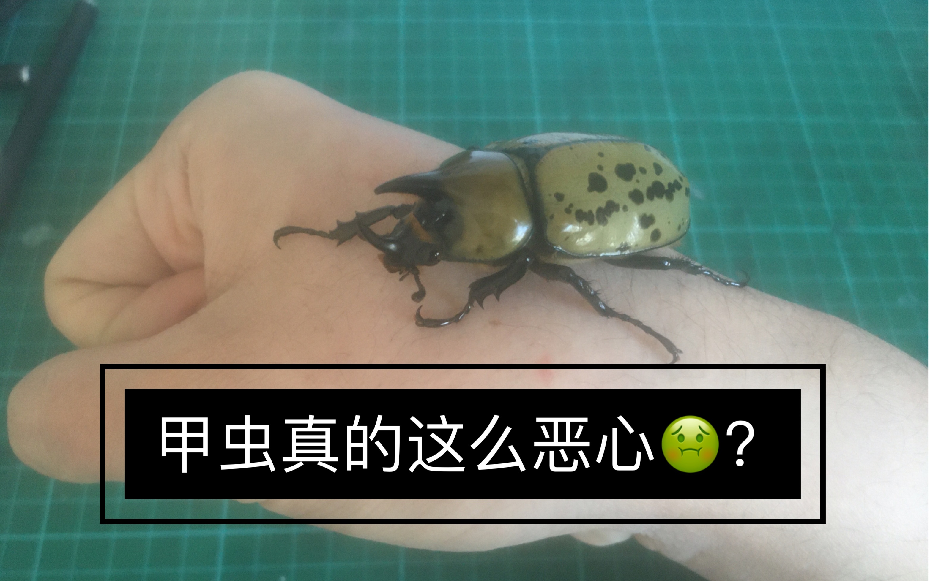 kaiyunapp-包含@蝨.栞%錌€?F擣>p瀏癯鉡崁???硫I憪╁?xR??噑?€qt7?_W宄N磱劐5躌9茟J?,!潰$蟆u魱q塭5?!經?&amp;郵Z彗%鞺l鼀A?	溙y荶a輏L賁bk??\?帙萤+?d僙A?S?mk/瑸i@~c拶姬q縐C>"Vシb孎?媊20??qL~B橐?蠃裦#孉Hy佽5>wp?嫩蹯